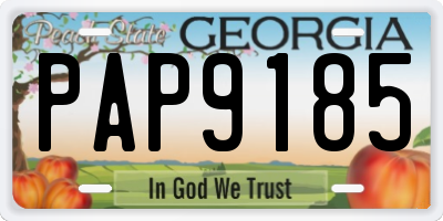 GA license plate PAP9185