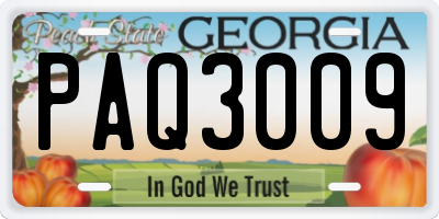 GA license plate PAQ3009