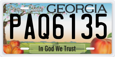 GA license plate PAQ6135
