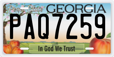 GA license plate PAQ7259