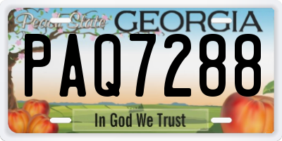 GA license plate PAQ7288
