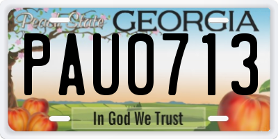 GA license plate PAU0713
