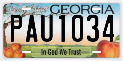 GA license plate PAU1034