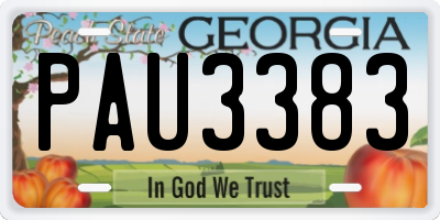 GA license plate PAU3383
