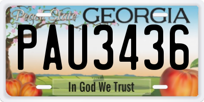 GA license plate PAU3436