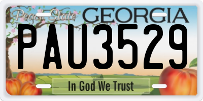 GA license plate PAU3529
