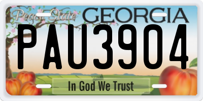 GA license plate PAU3904