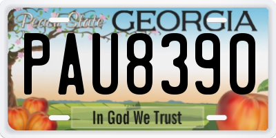 GA license plate PAU8390