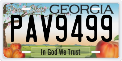 GA license plate PAV9499