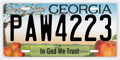 GA license plate PAW4223