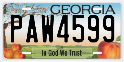 GA license plate PAW4599