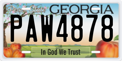 GA license plate PAW4878