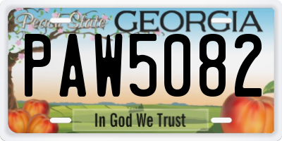 GA license plate PAW5082