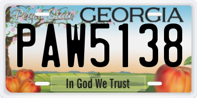 GA license plate PAW5138