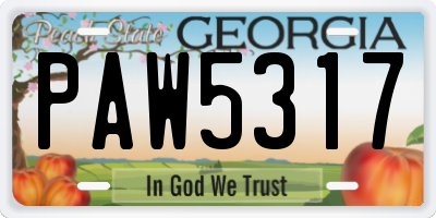 GA license plate PAW5317
