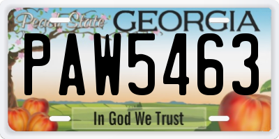 GA license plate PAW5463