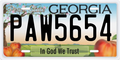 GA license plate PAW5654