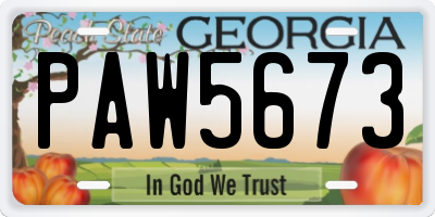 GA license plate PAW5673