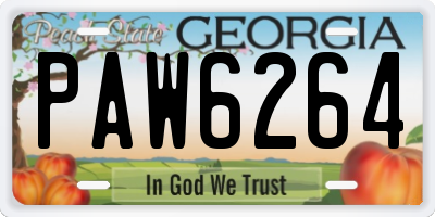 GA license plate PAW6264
