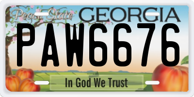 GA license plate PAW6676