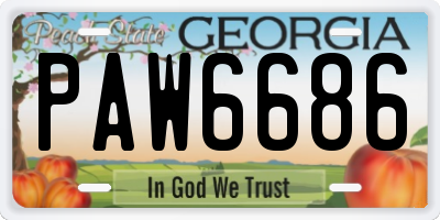GA license plate PAW6686