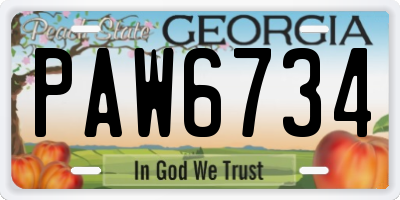 GA license plate PAW6734