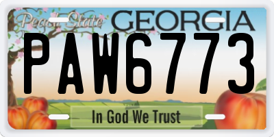 GA license plate PAW6773