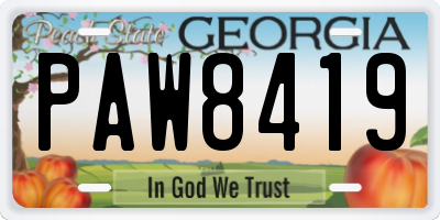 GA license plate PAW8419