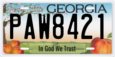 GA license plate PAW8421