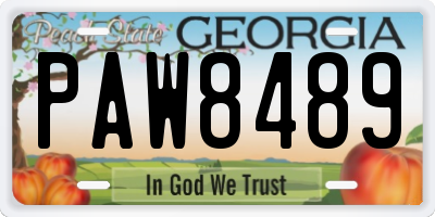 GA license plate PAW8489