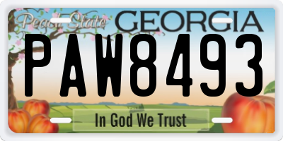 GA license plate PAW8493