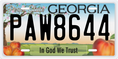 GA license plate PAW8644