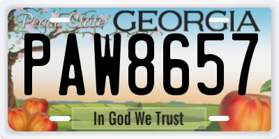 GA license plate PAW8657