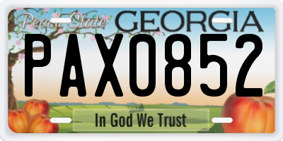 GA license plate PAX0852