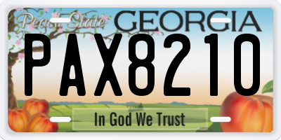 GA license plate PAX8210
