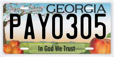 GA license plate PAY0305