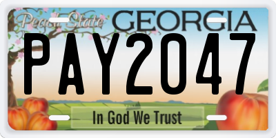 GA license plate PAY2047