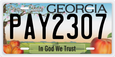 GA license plate PAY2307