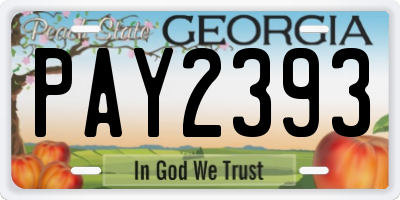 GA license plate PAY2393