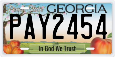 GA license plate PAY2454