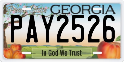 GA license plate PAY2526