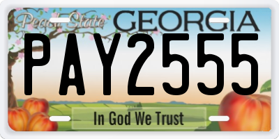 GA license plate PAY2555