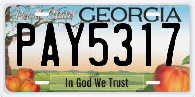 GA license plate PAY5317