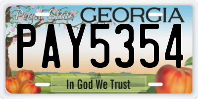 GA license plate PAY5354