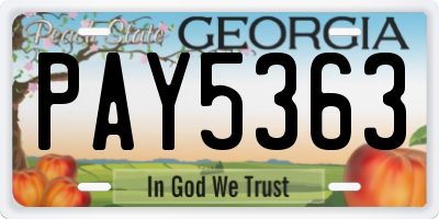 GA license plate PAY5363