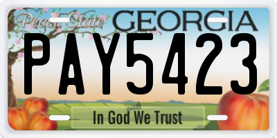 GA license plate PAY5423