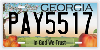 GA license plate PAY5517