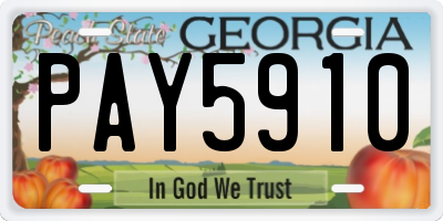 GA license plate PAY5910