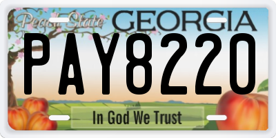 GA license plate PAY8220