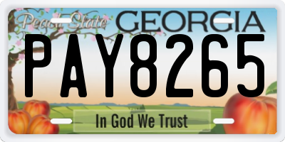 GA license plate PAY8265